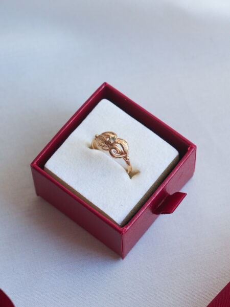 Imagen de Anillo vintage serie13 5 (5)