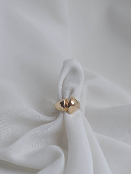 Imagen de Anillo vintage serie14 9 (2)