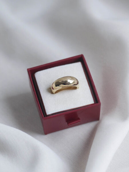 Imagen de Anillo trend vintage (22)