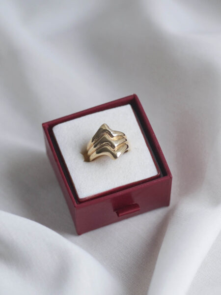 Imagen de Anillo trend vintage (39)