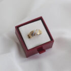 Imagen de Anillo vintage serie19 1 (3)