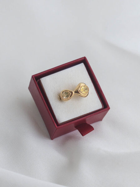 Imagen de Anillo trendvintage serie20 12 (2)