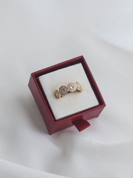 Imagen de Anillo trendvintage serie20 9 (5)
