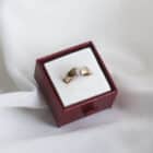 Imagen de Anillo vintage serie21 12 (1)